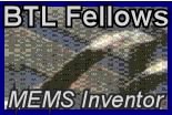 BTL Fellows Inc.